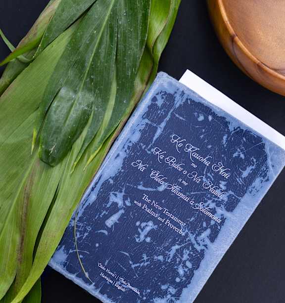 A book with a blue cover is placed on a dark surface with some green leaves beside it.