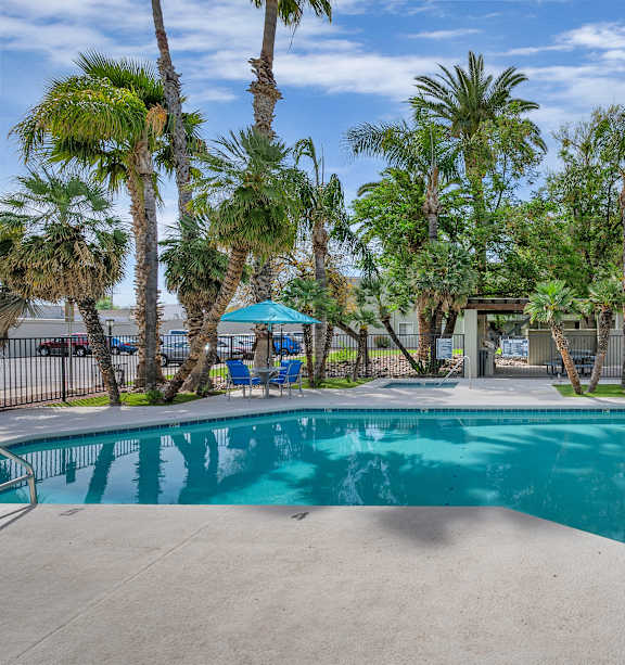 A swimming pool surrounded by palm trees and a fence.