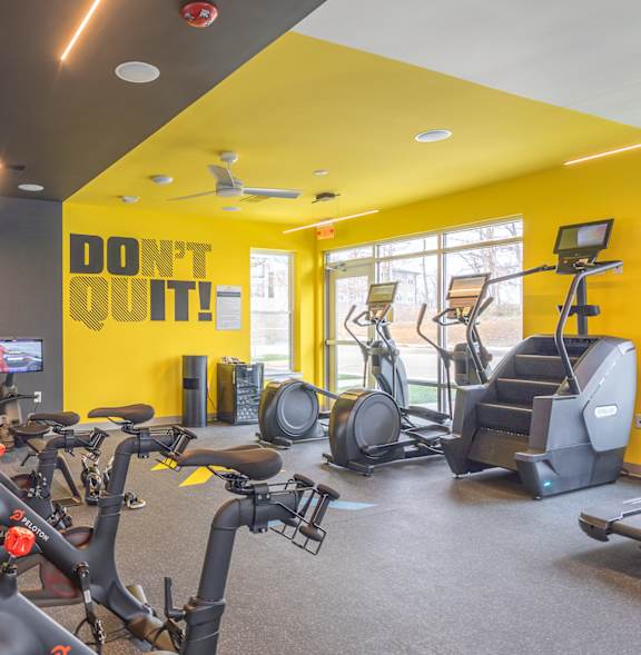 A row of exercise bikes are lined up in a gym.