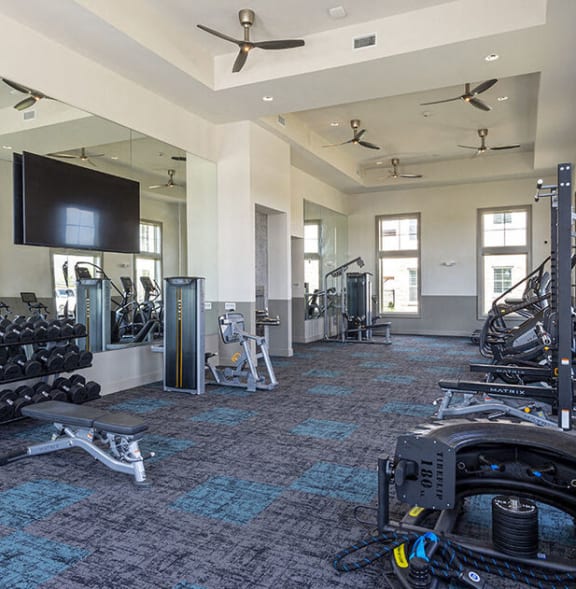 a gym with a lot of weights and a tv