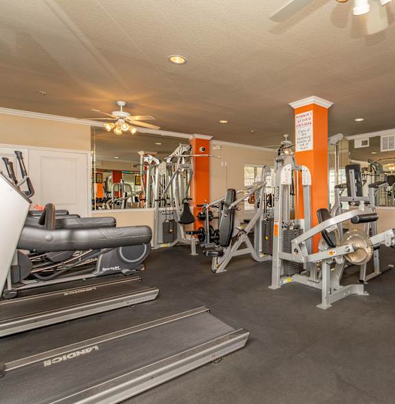 A gym with treadmills, weights and exercise equipment.
