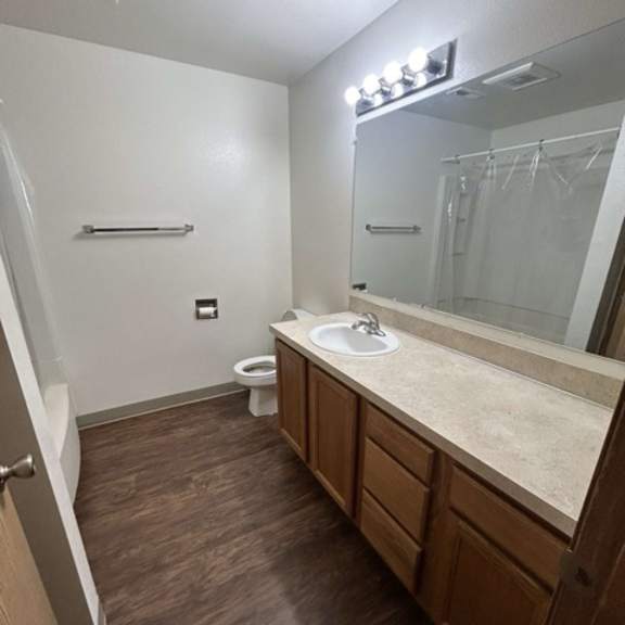 a bathroom with a toilet, sink, mirror, and lighting fixture.