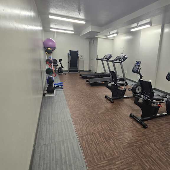 a gym with treadmills, elliptical machines, and a rowing machine.