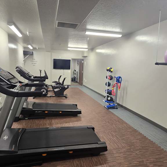 a gym with treadmills and exercise balls.