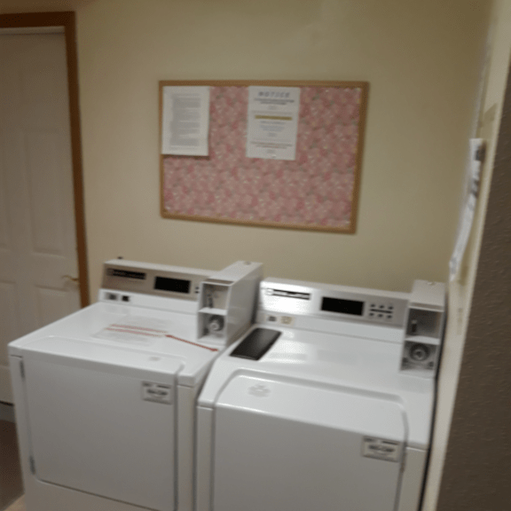 apple tree laundry room