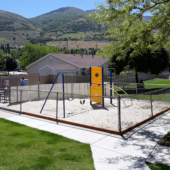 apple tree playground