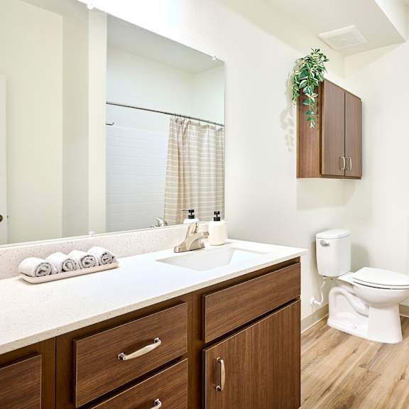 a bathroom with a toilet and a sink and a mirror