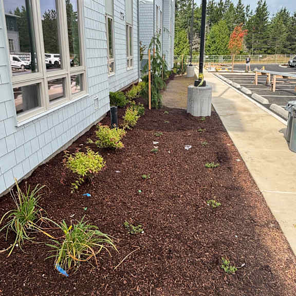 a building with a green roof and plants growing on it.