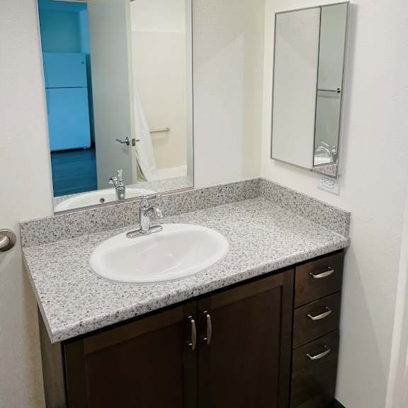 a bathroom with a sink and a mirror