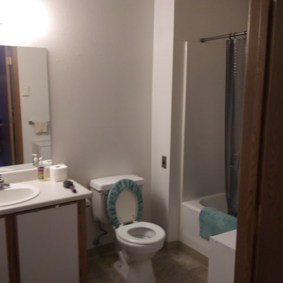 sarah street bathroom