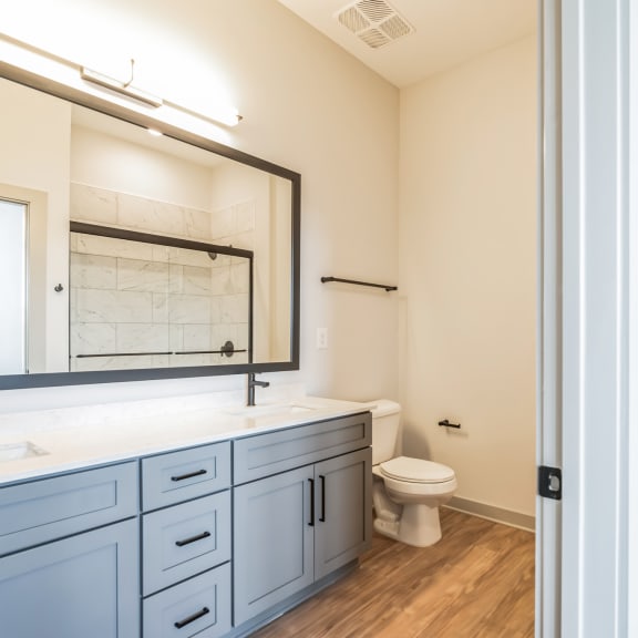 Thumbnail 19 of 21 a bathroom with blue cabinets and a mirror and a toilet at Preston Ridge, Cary, 27513