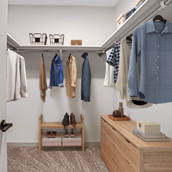 Thumbnail 8 of 9 a closet with a dresser and some clothes hanging on the wall