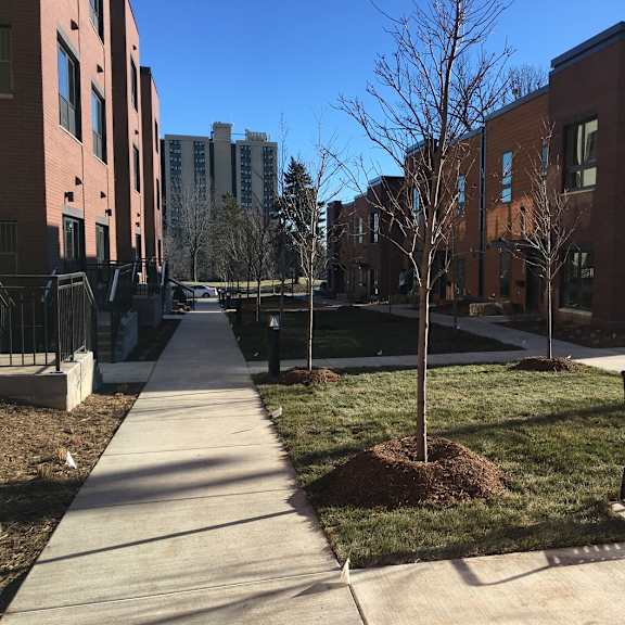a tree is planted in a patch of dirt in front of a building.
