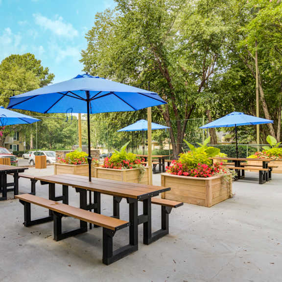 outdoor lounge at laurel oaks, raleigh, north carolina