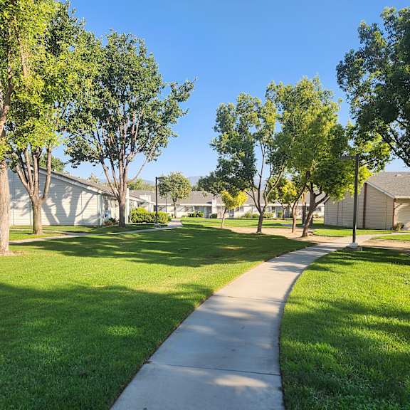 a tree-lined pathway leads to a building.