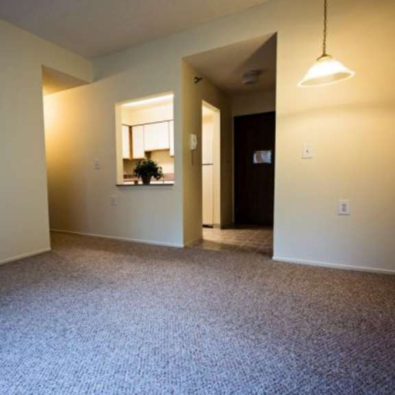 a room with a carpeted floor and a window with a view of a building.