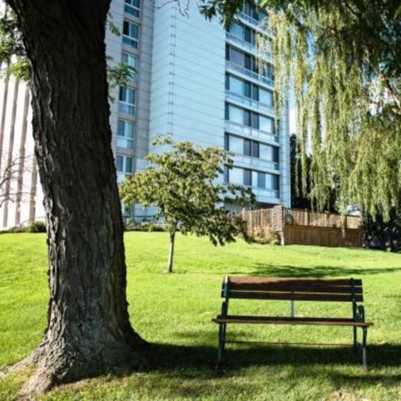 a bench sits in a grassy area under a tree.