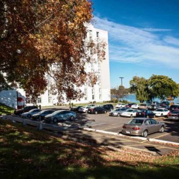 a parking lot with cars and a tree with orange leaves.