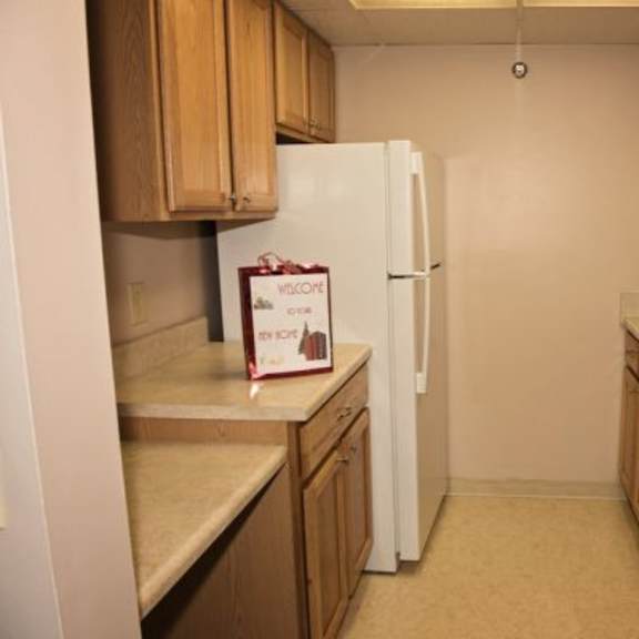 a kitchen with a fridge and a sink.