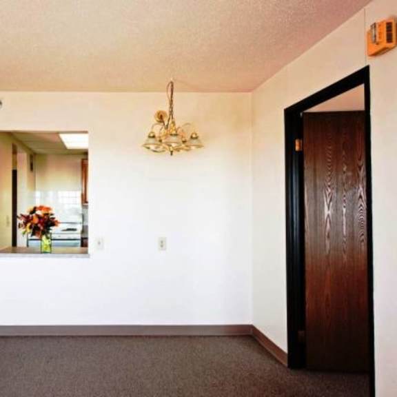a room with a brown carpet and a chandelier.