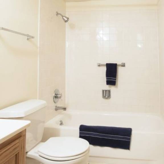 a white toilet sits next to a white bathtub in a bathroom.