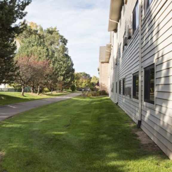 a tree-lined residential street with houses on both sides.