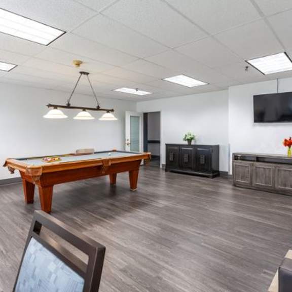 a room with a pool table, couches, and a television.