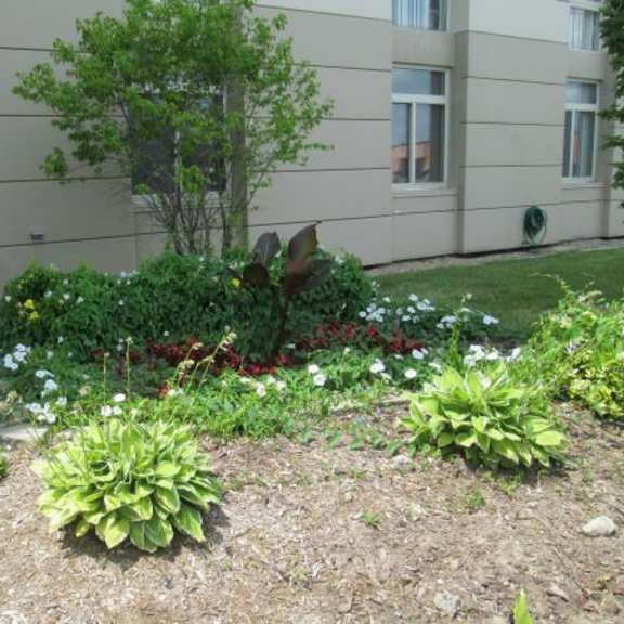 a garden with a variety of plants and flowers in front of a building.