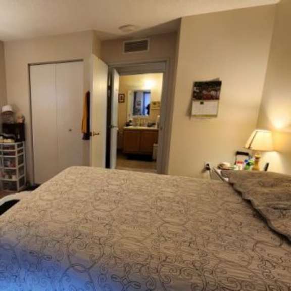 a bedroom with a bed, dresser, and mirror.