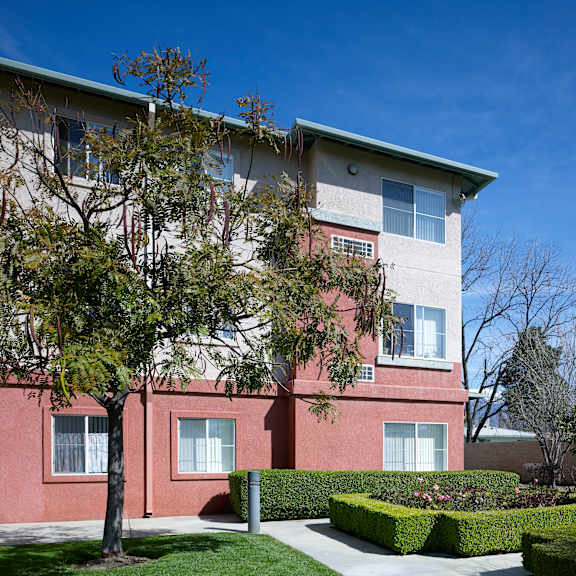 a building with a red and white facade has a tree in front of it.