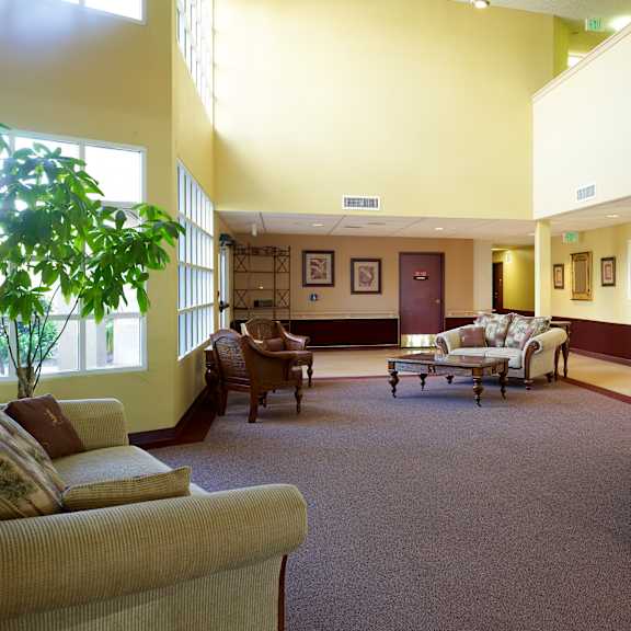 a living room with a couch, chairs, and a potted plant.