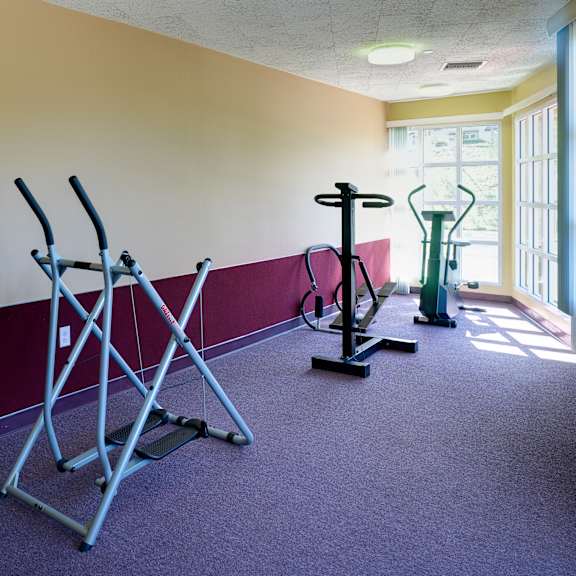 a gym with a purple carpet and a row of exercise equipment.