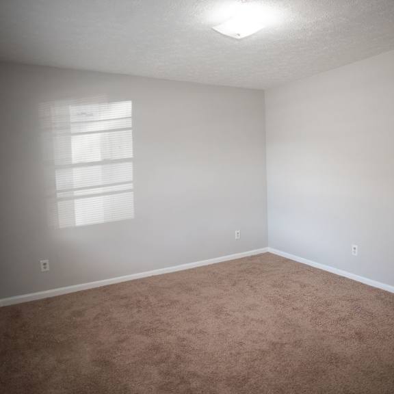 a room with a carpeted floor and a window letting in sunlight.