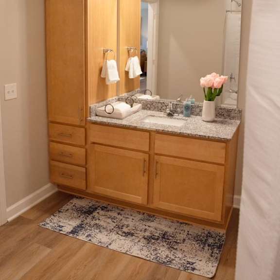 bath vanity with storage