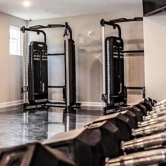 modern fitness equipment