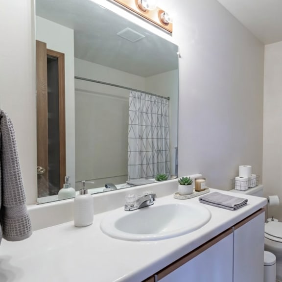 a bathroom with a white sink and toilet.