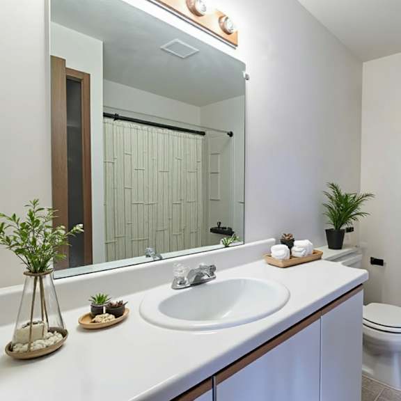 a white bathroom with a sink, mirror, toilet, and a plant.