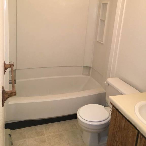 bathroom ellsworth apartments
610 s. hillsdale street, homer, mi 49245