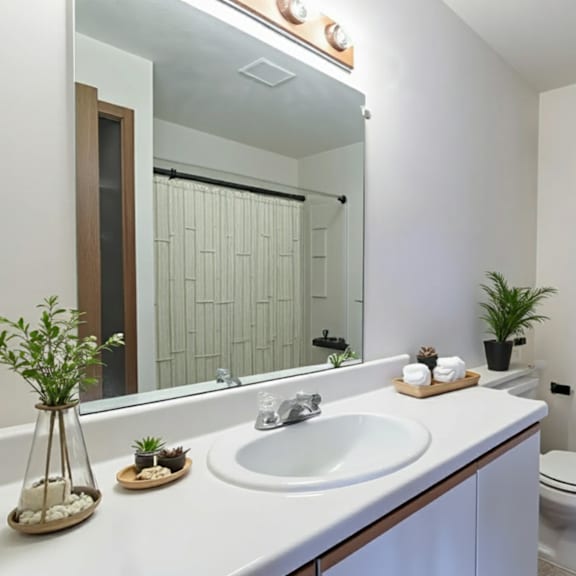 a white bathroom with a sink, mirror, toilet, and a plant.