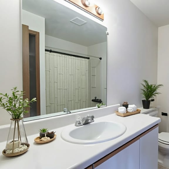 a white bathroom with a sink, mirror, toilet, and a plant.