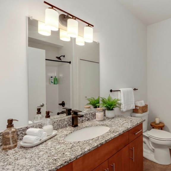 a bathroom with a white toilet and a mirror above the sink.