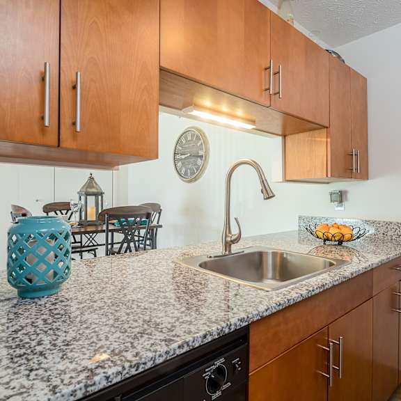 sink with faucet  at benson estates apartments, augusta, ga