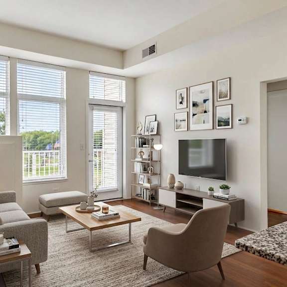 a living room with a grey couch, a coffee table, a television, and a rug.