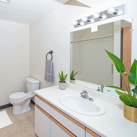 a white toilet sits next to a sink in a bathroom.
