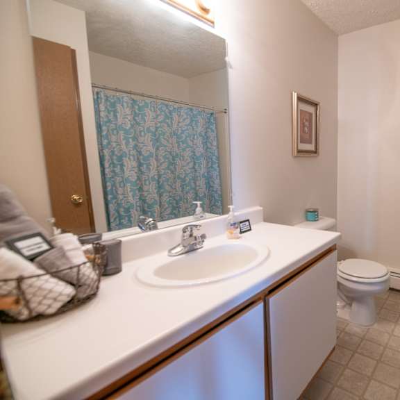 luxurious bathroom at custer estates in monroe, mi
