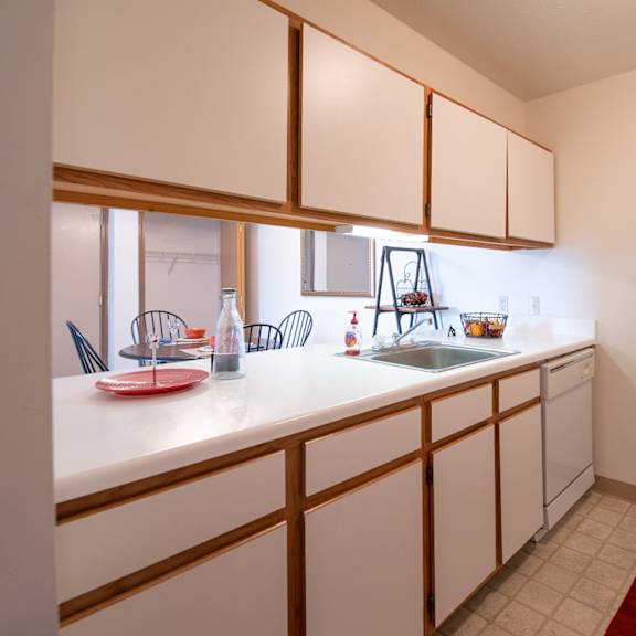kitchen sink at custer estates apartments, monroe, michigan
