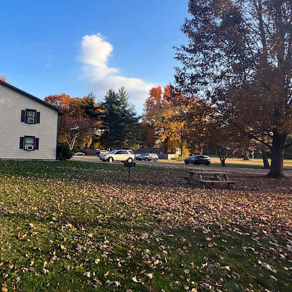 a house with a picnic table in a field with leaves on the ground