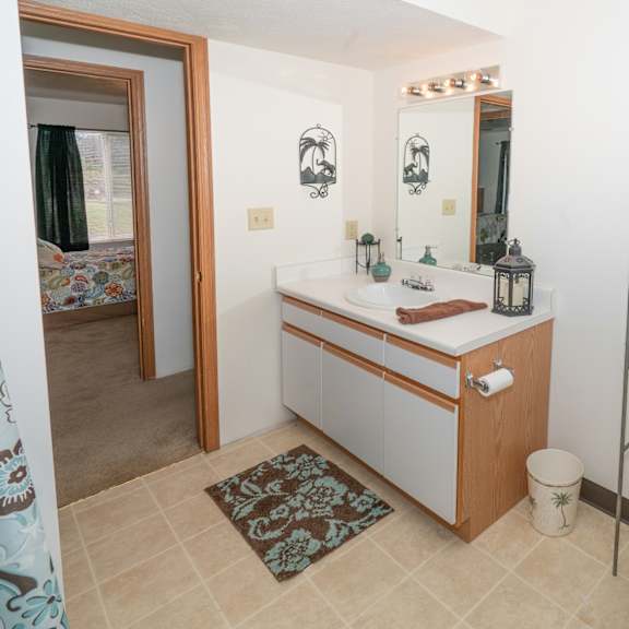 bathroom 1305 harrison circle, pell city, al 35128