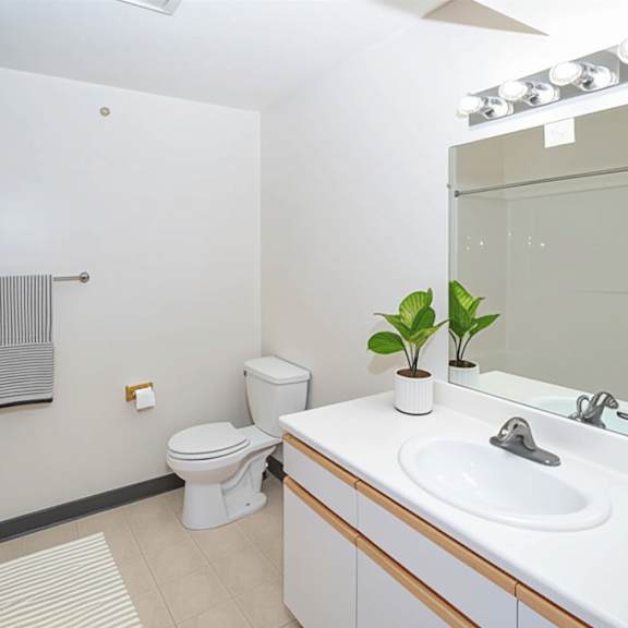 a bathroom with a toilet, sink, and mirror.
