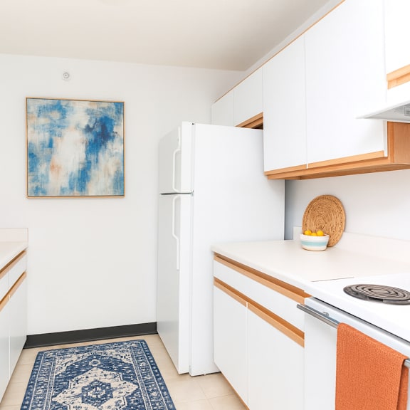 a kitchen with white cabinets and a blue rug on the floor.
